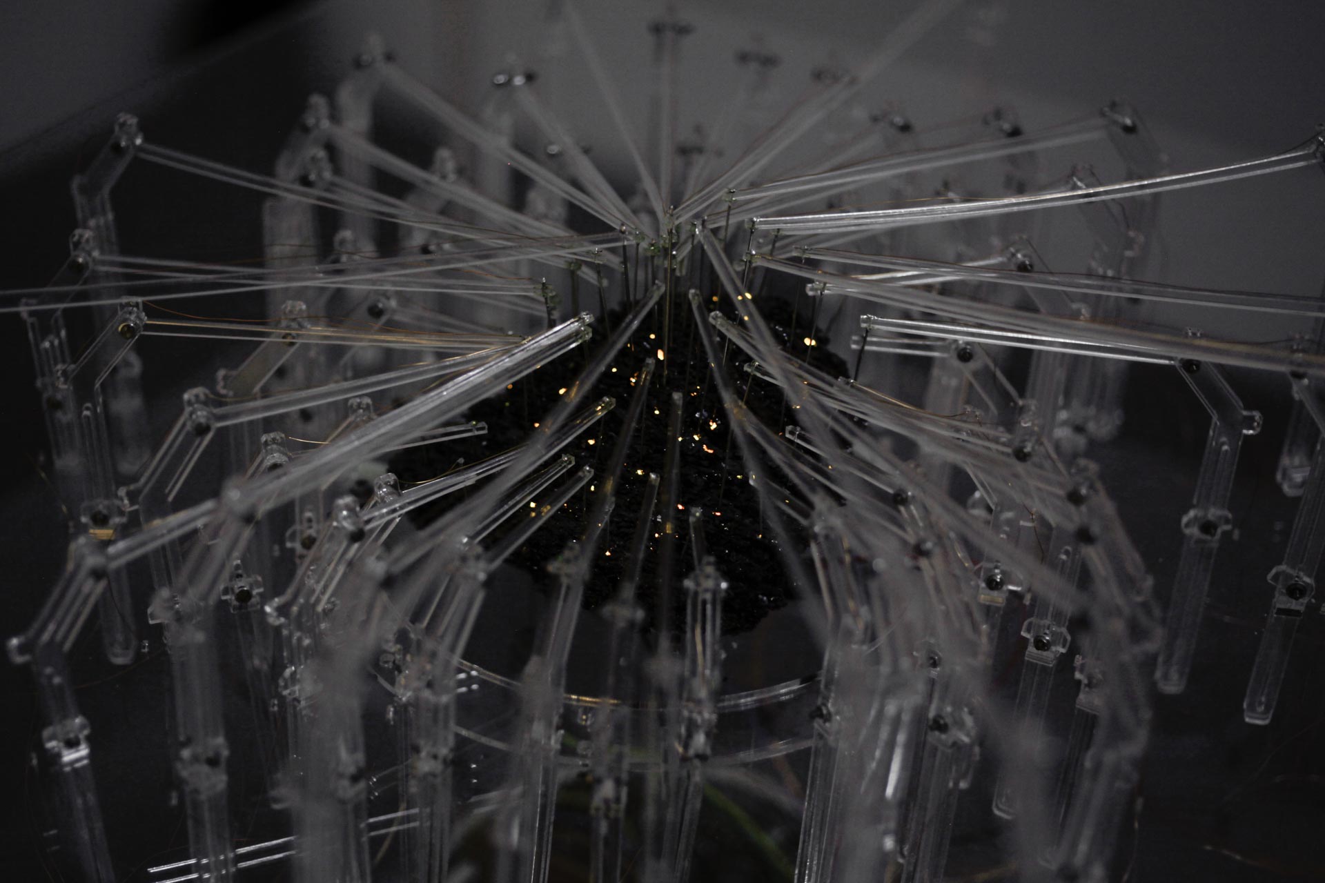 Crystal Set - Detail, 2011