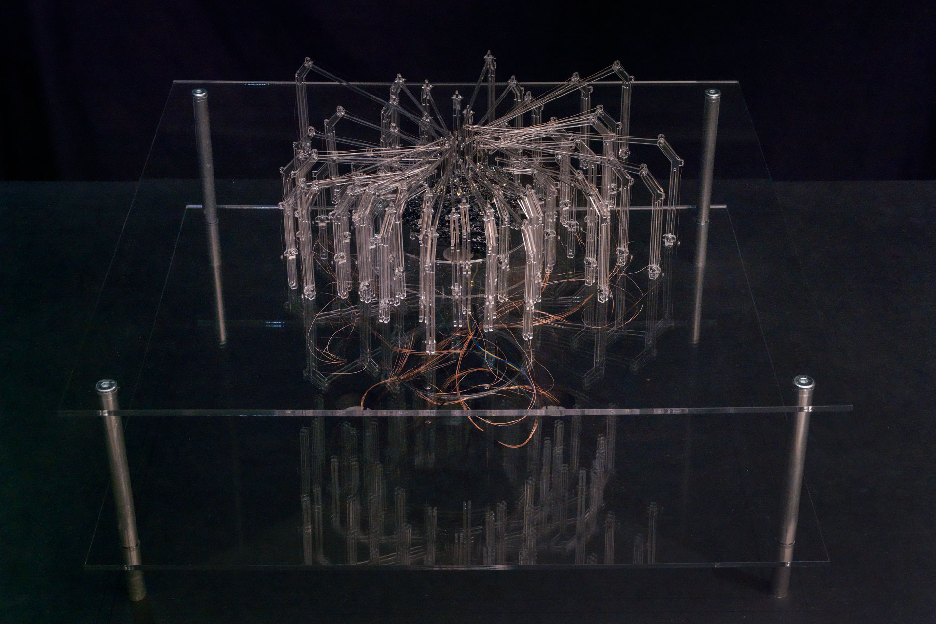 Irrational Computing - Schering Stiftung Berlin, 2011