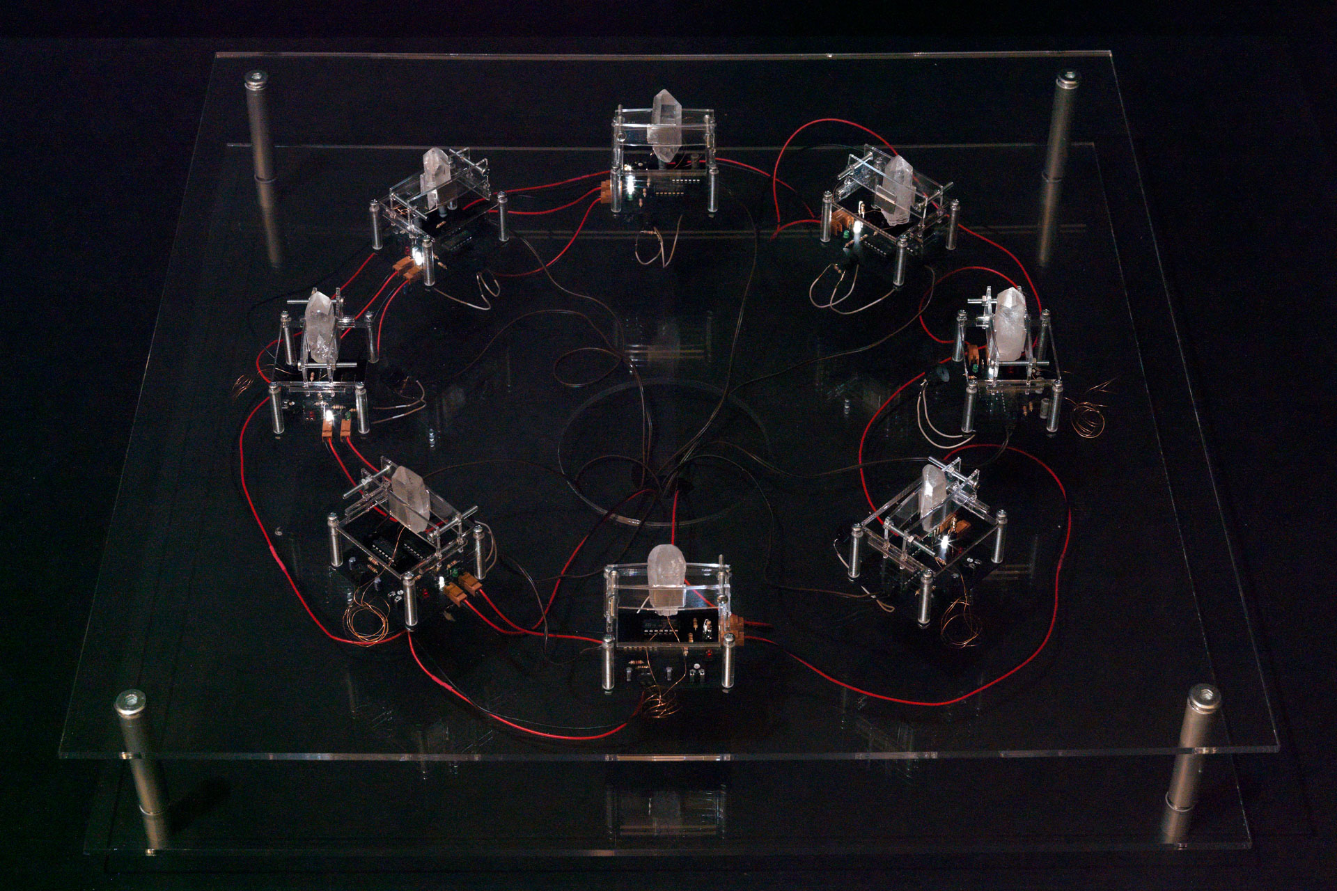 Irrational Computing - Schering Stiftung Berlin, 2011
