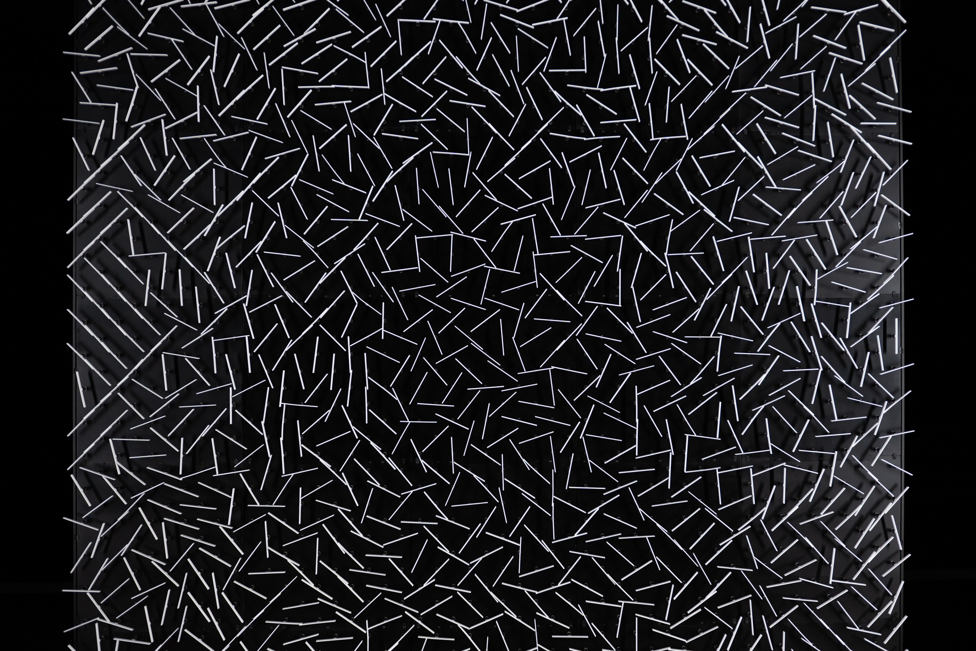 PTPBRA - Screen, 2018