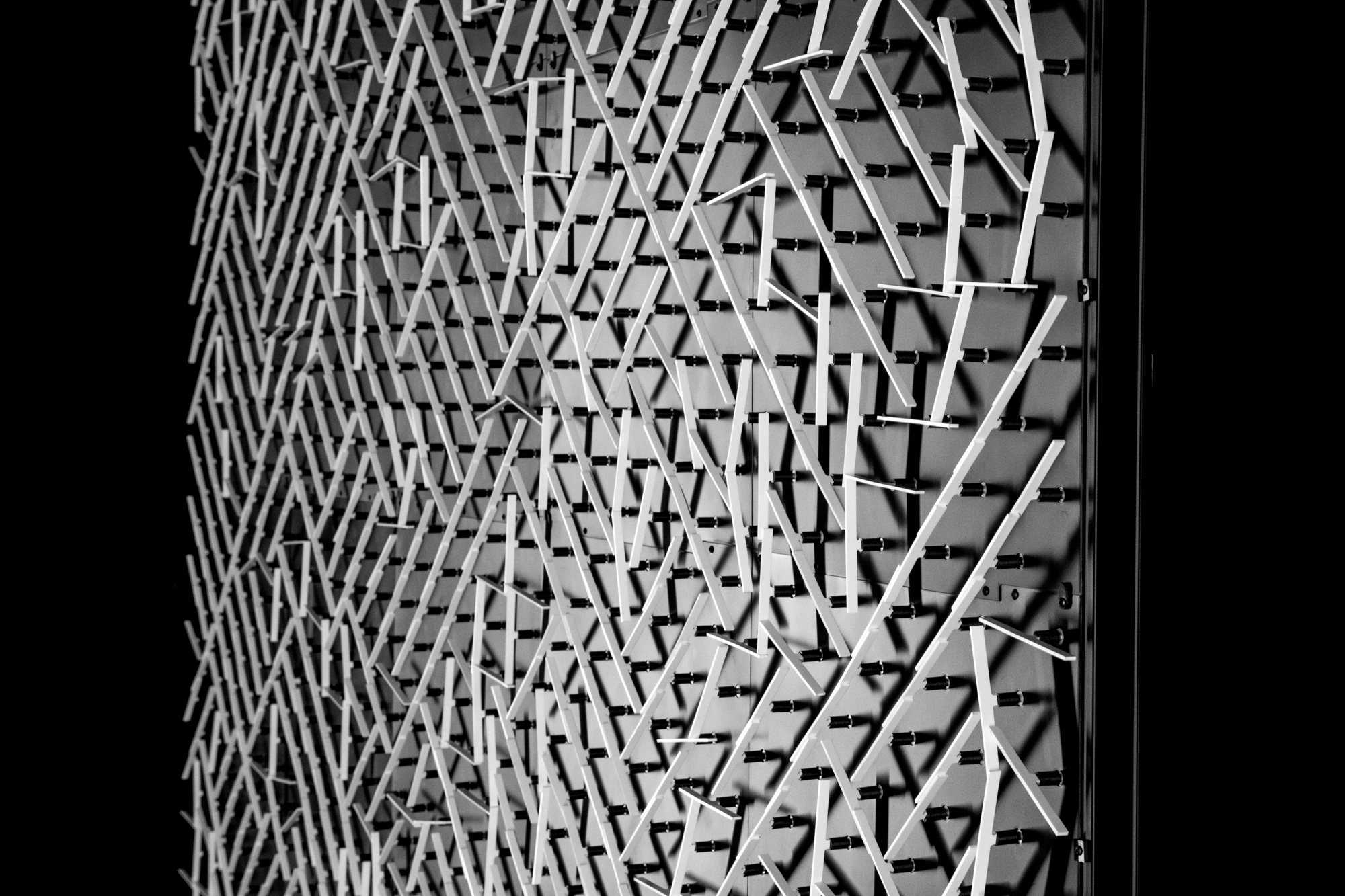 PTPBRA - Side View, 2018