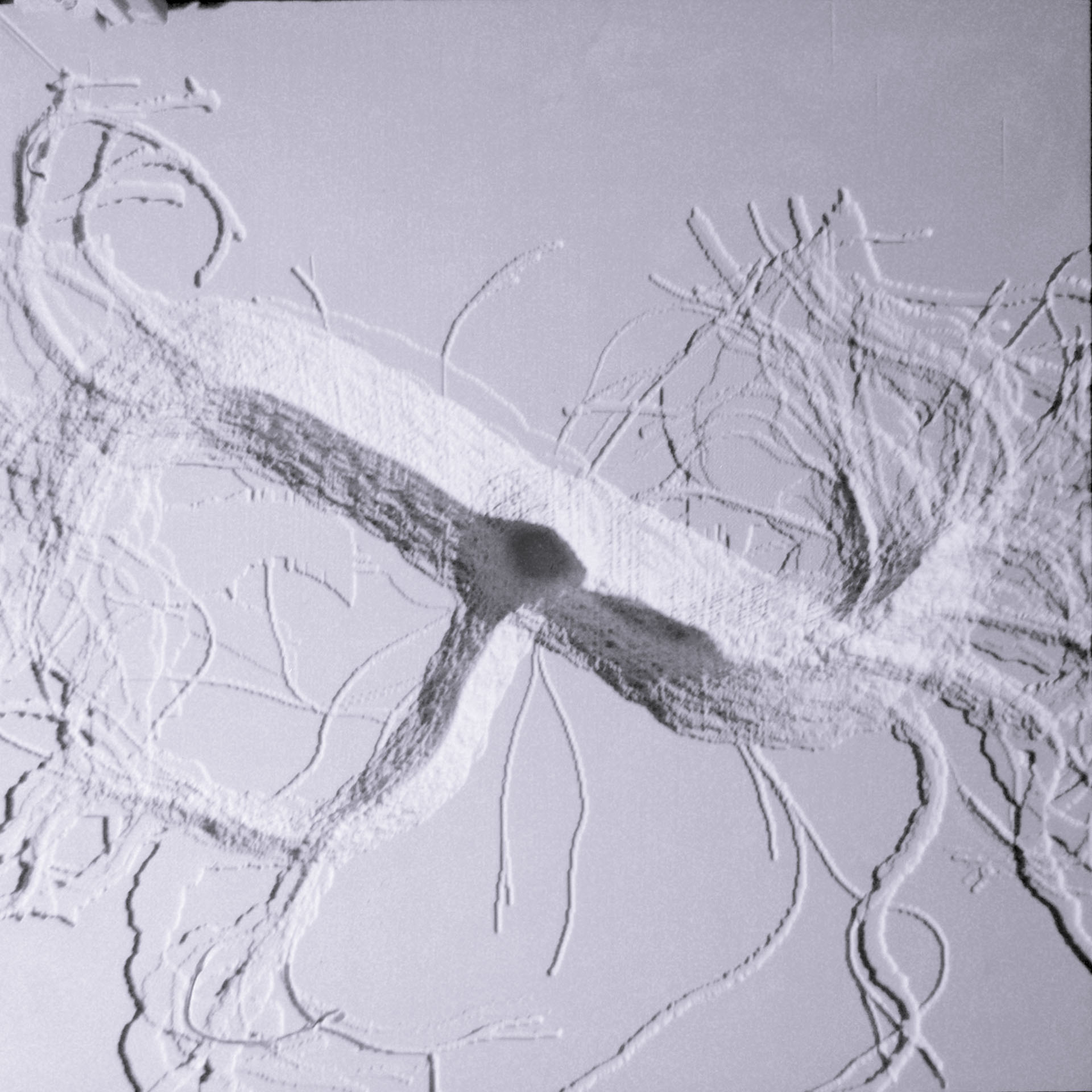 Nowhere - Art Cologne, 2005